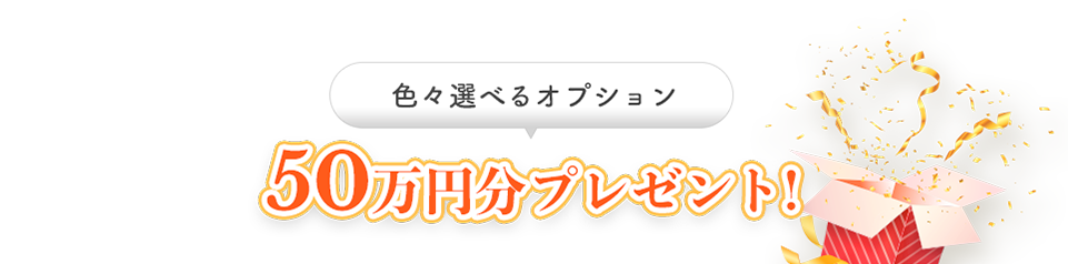 色々選べるオプション50万円分プレゼント!