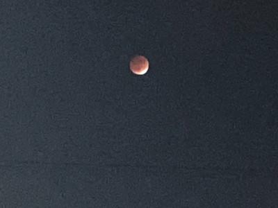 写真 2021-11-19 18 07 45.jpg